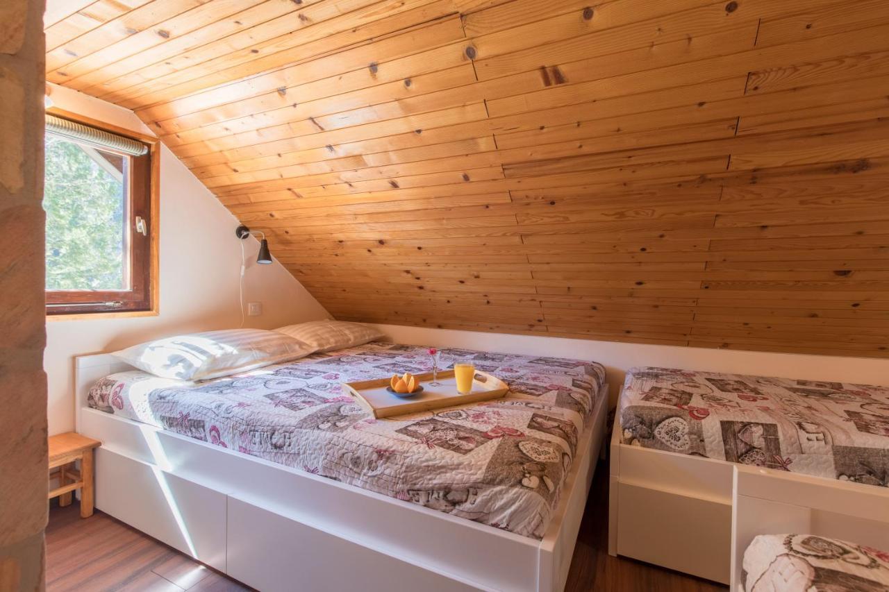 Vila Rozi, Osilnica - Vacation House Pr' Vili Rozi Kültér fotó