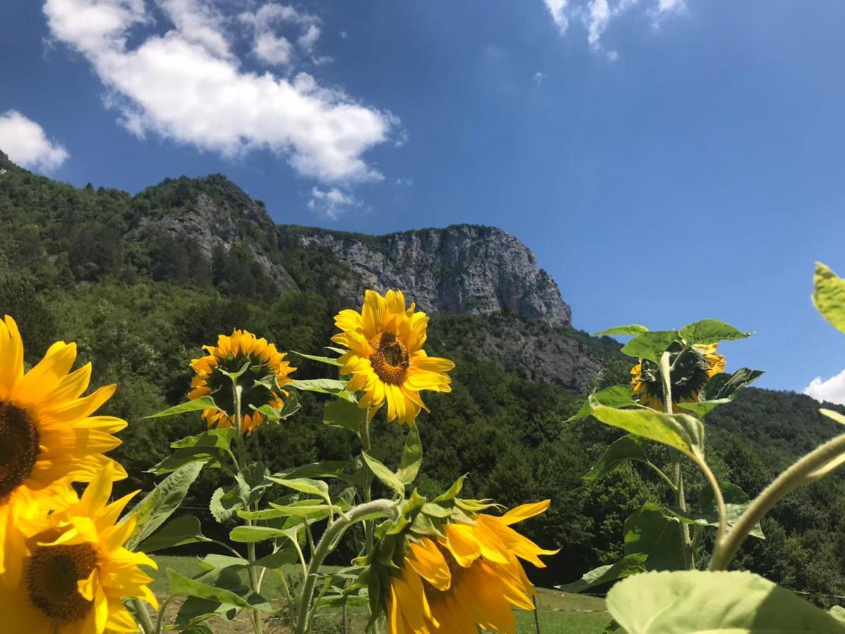Vila Rozi, Osilnica - Vacation House Pr' Vili Rozi Kültér fotó