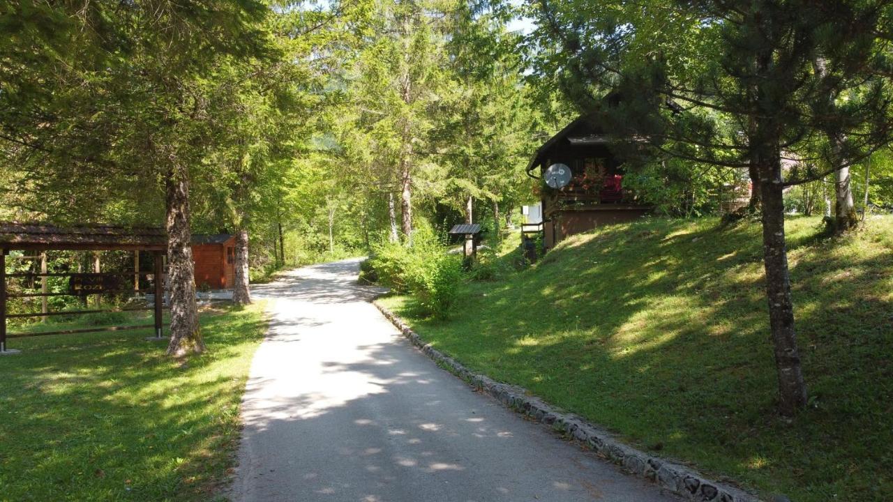 Vila Rozi, Osilnica - Vacation House Pr' Vili Rozi Kültér fotó