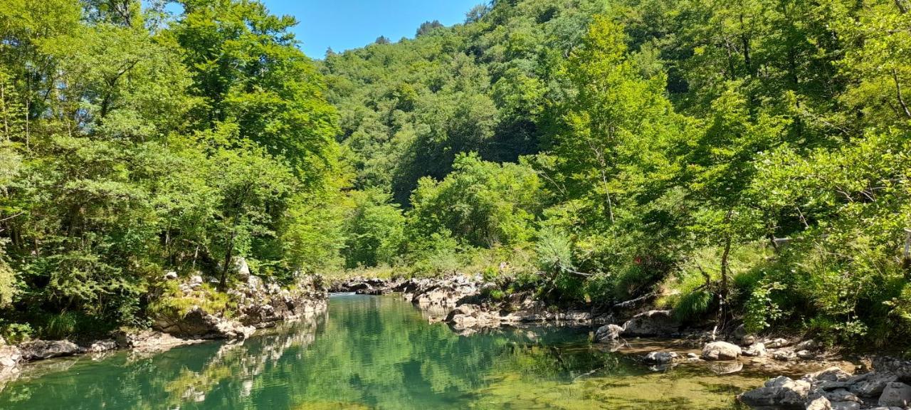 Vila Rozi, Osilnica - Vacation House Pr' Vili Rozi Kültér fotó