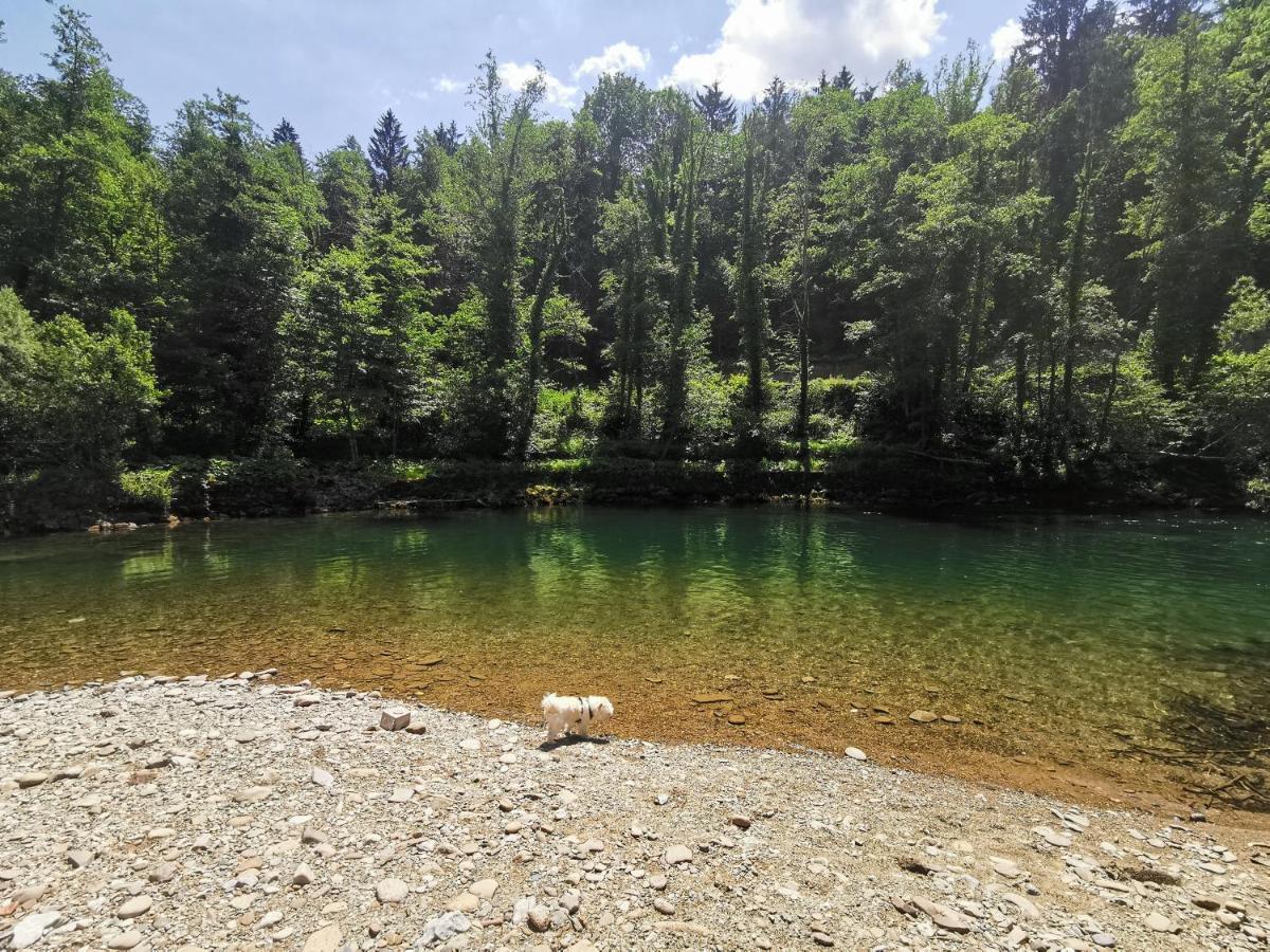 Vila Rozi, Osilnica - Vacation House Pr' Vili Rozi Kültér fotó